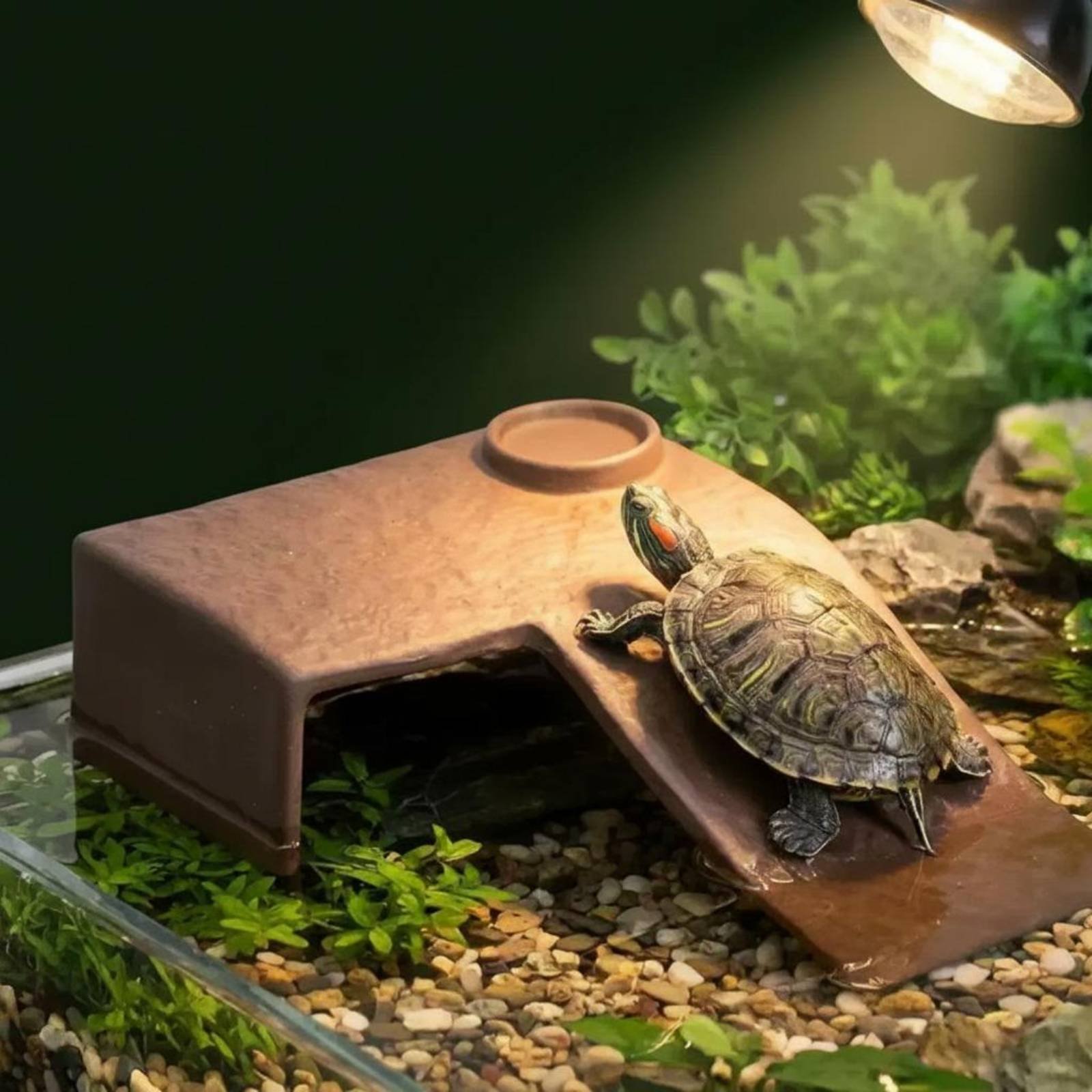 2 Pieces Turtle Basking Dock E - Hide Cave Ceramic recensione e prezzo