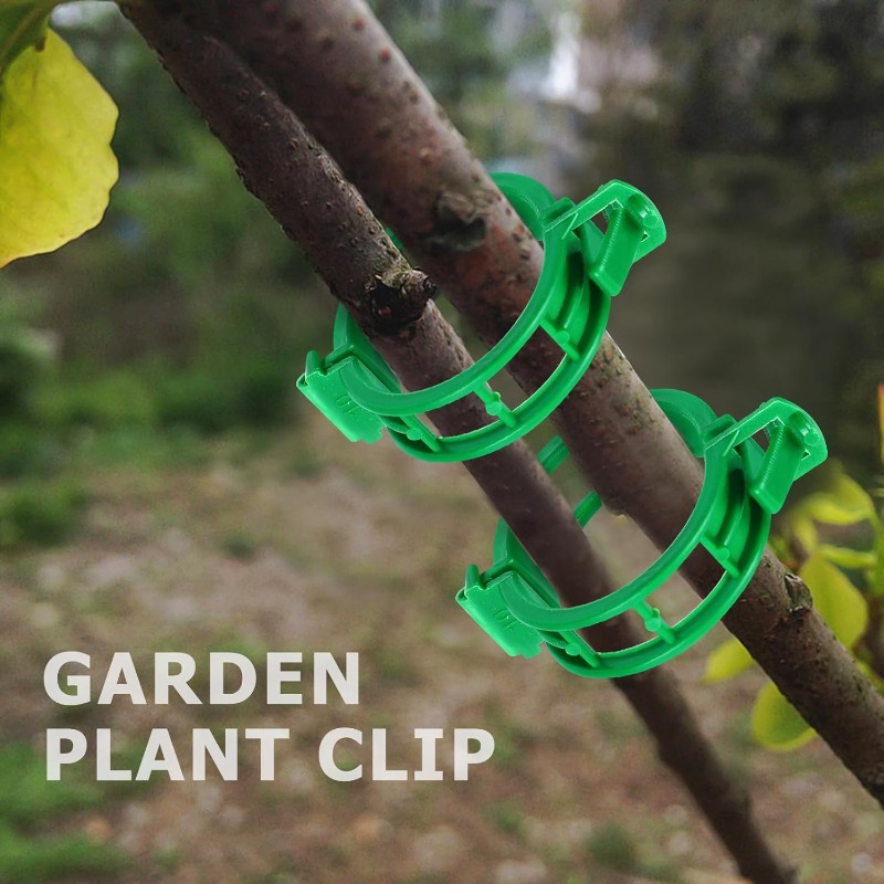 Reusable Plastic Plant Support - Vine Climbing Plastic recensione e prezzo