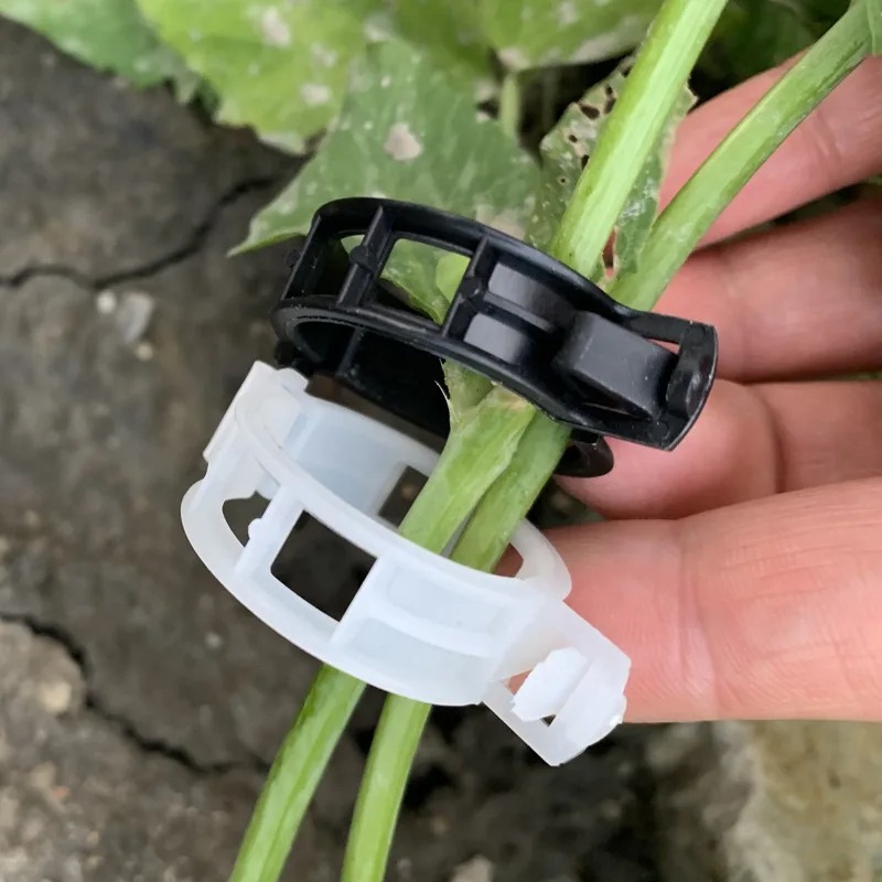 Reusable Plastic Plant Support - Vine Climbing Plastic recensione e prezzo