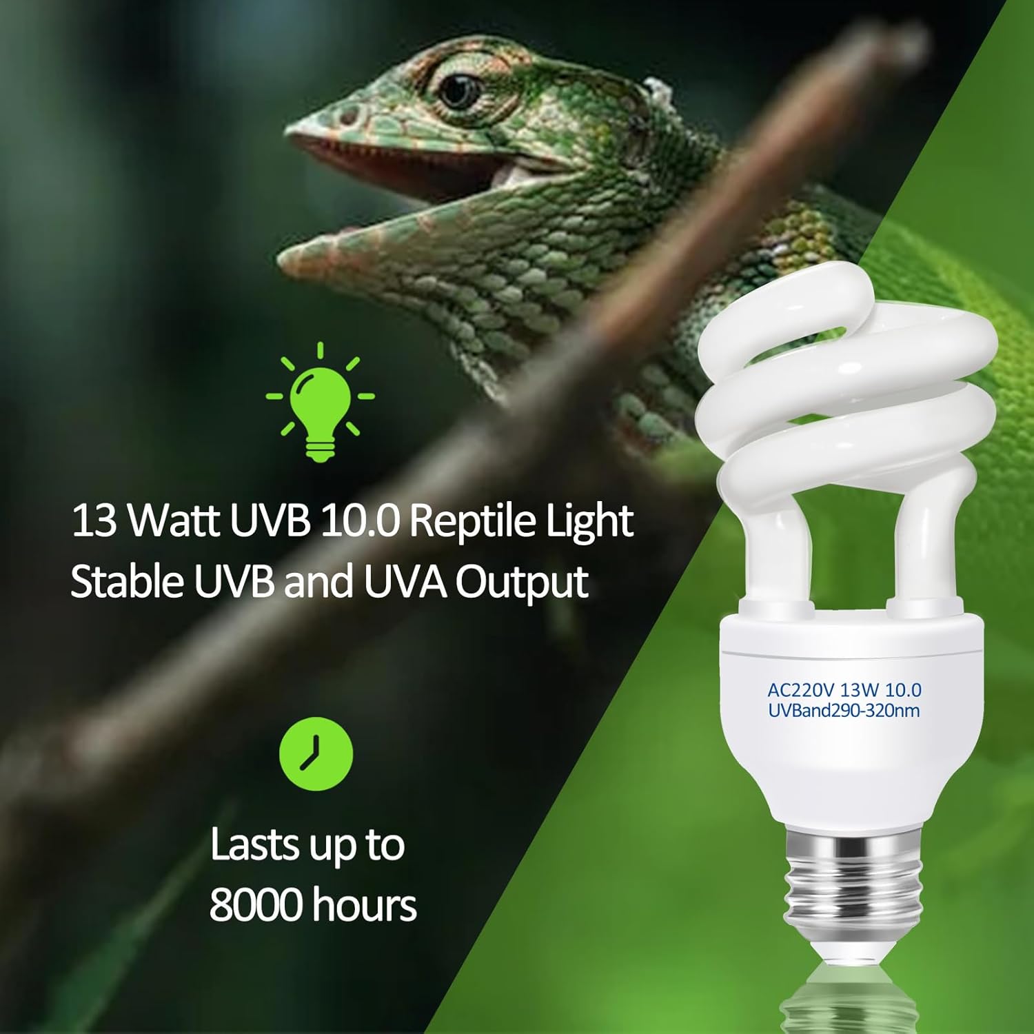 UVB 5.0 10.0 Reptile Heating L - Calcium Powder Reptile recensione e prezzo