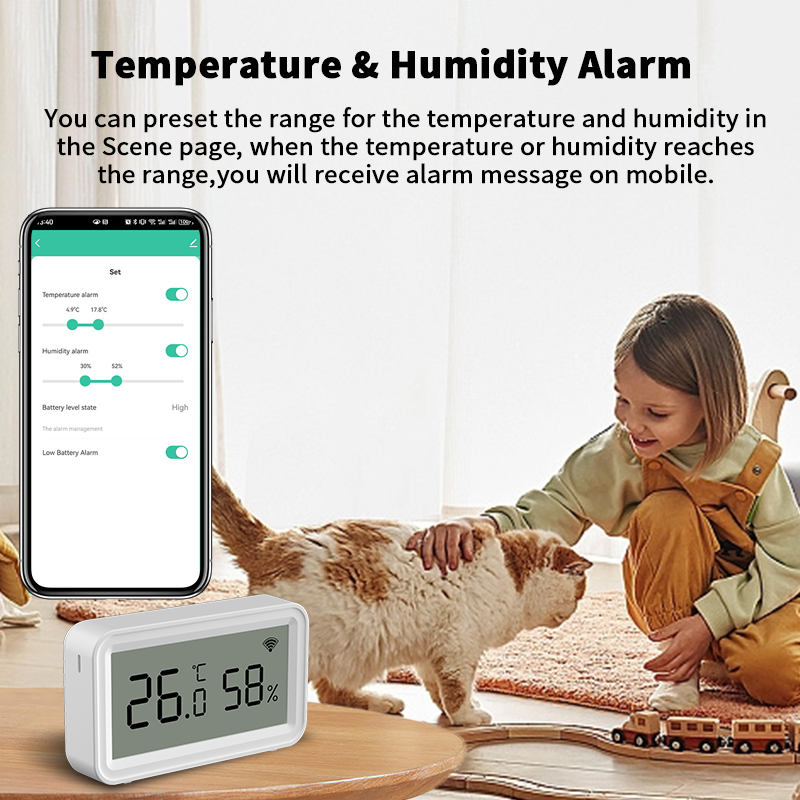 Tuya Zigbee WiFi Thermometer H - Digital Hygrometer Probe recensione e prezzo