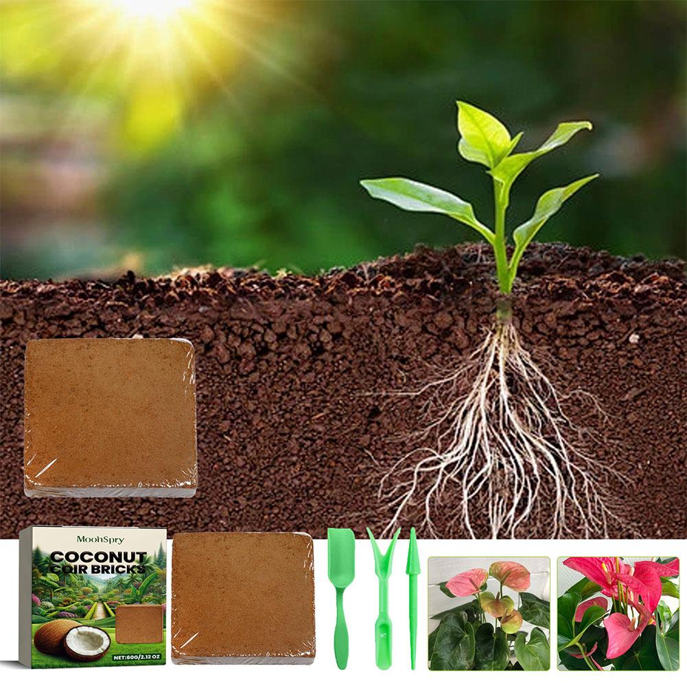 Reptile Coconut Soil Coir Pres - Substrate Coconut Fiber recensione e prezzo
