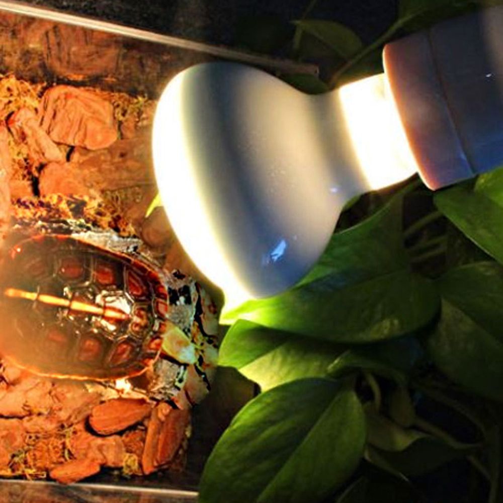 Lizard Heater Temperature Cont - Basking Bulb Halogen recensione e prezzo