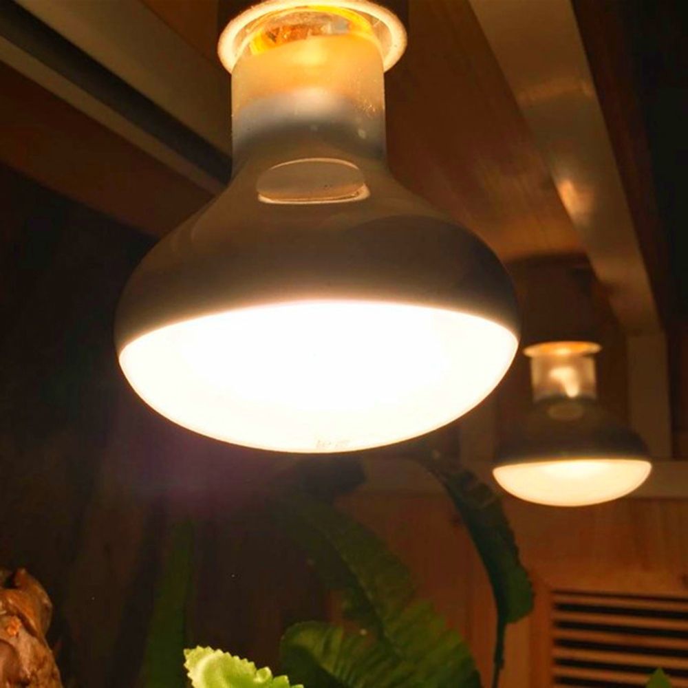 Lizard Heater Temperature Cont - Basking Bulb Halogen recensione e prezzo