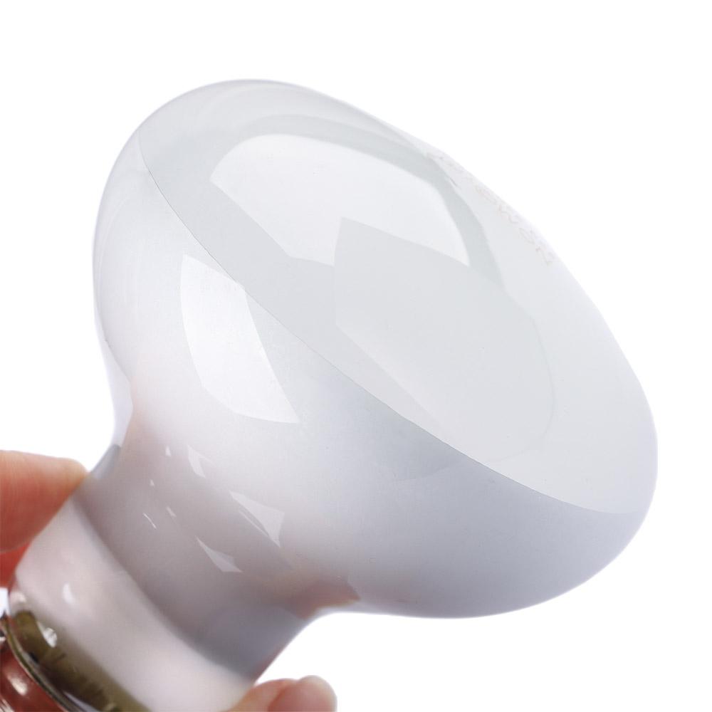 Lizard Heater Temperature Cont - Basking Bulb Halogen recensione e prezzo