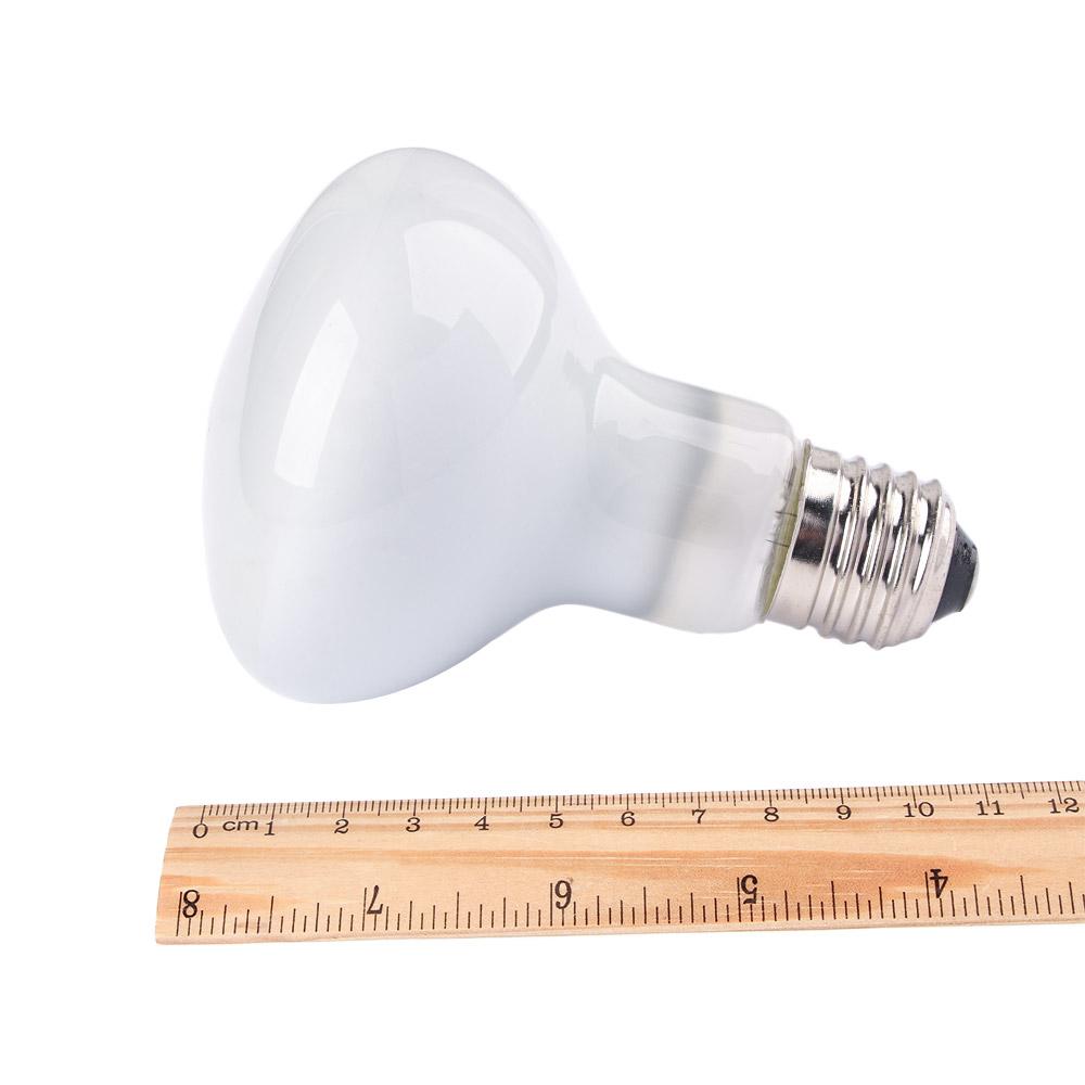 Lizard Heater Temperature Cont - Basking Bulb Halogen recensione e prezzo