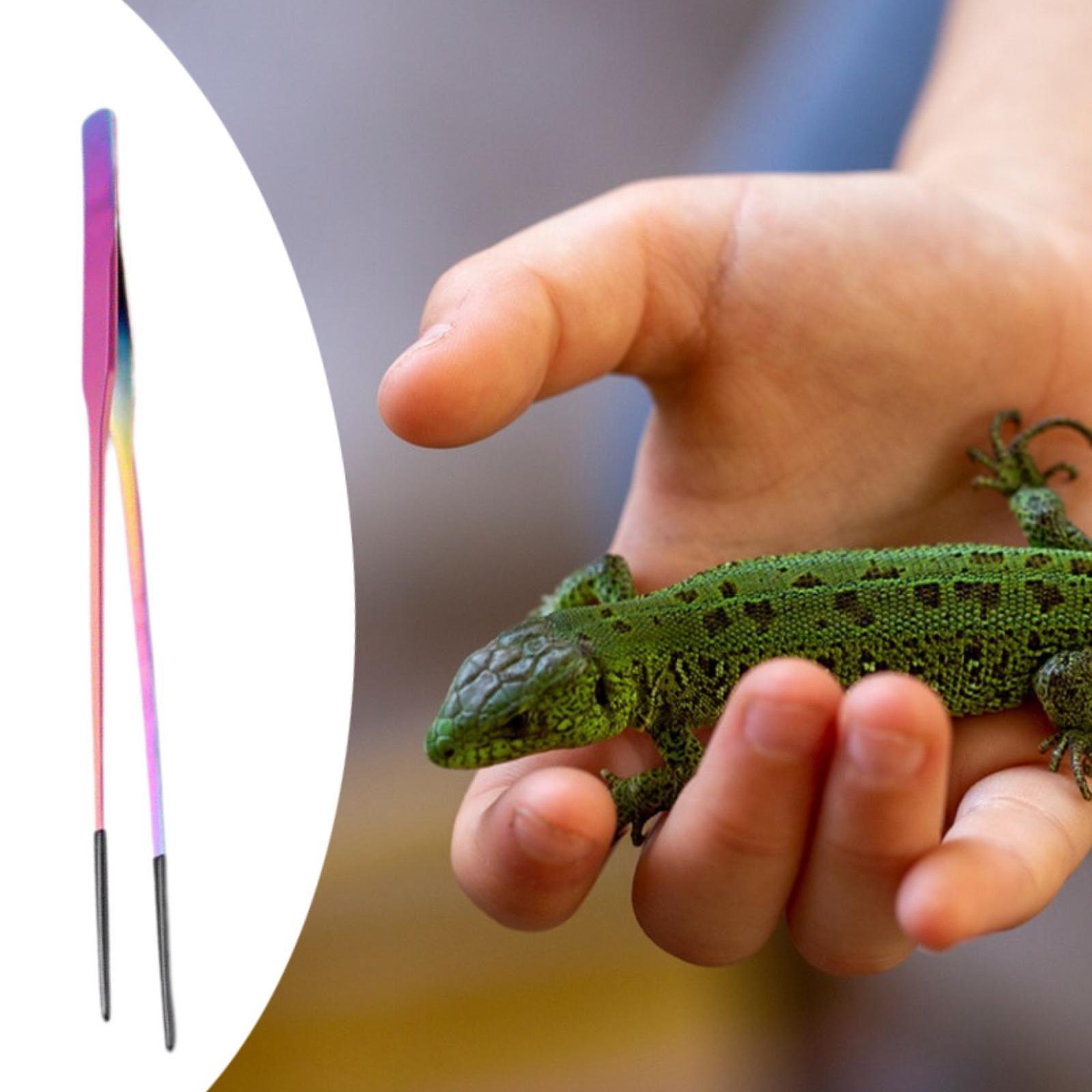 Terrarium Reptile Feeder Tongs - Feeding Tong Stainless recensione e prezzo