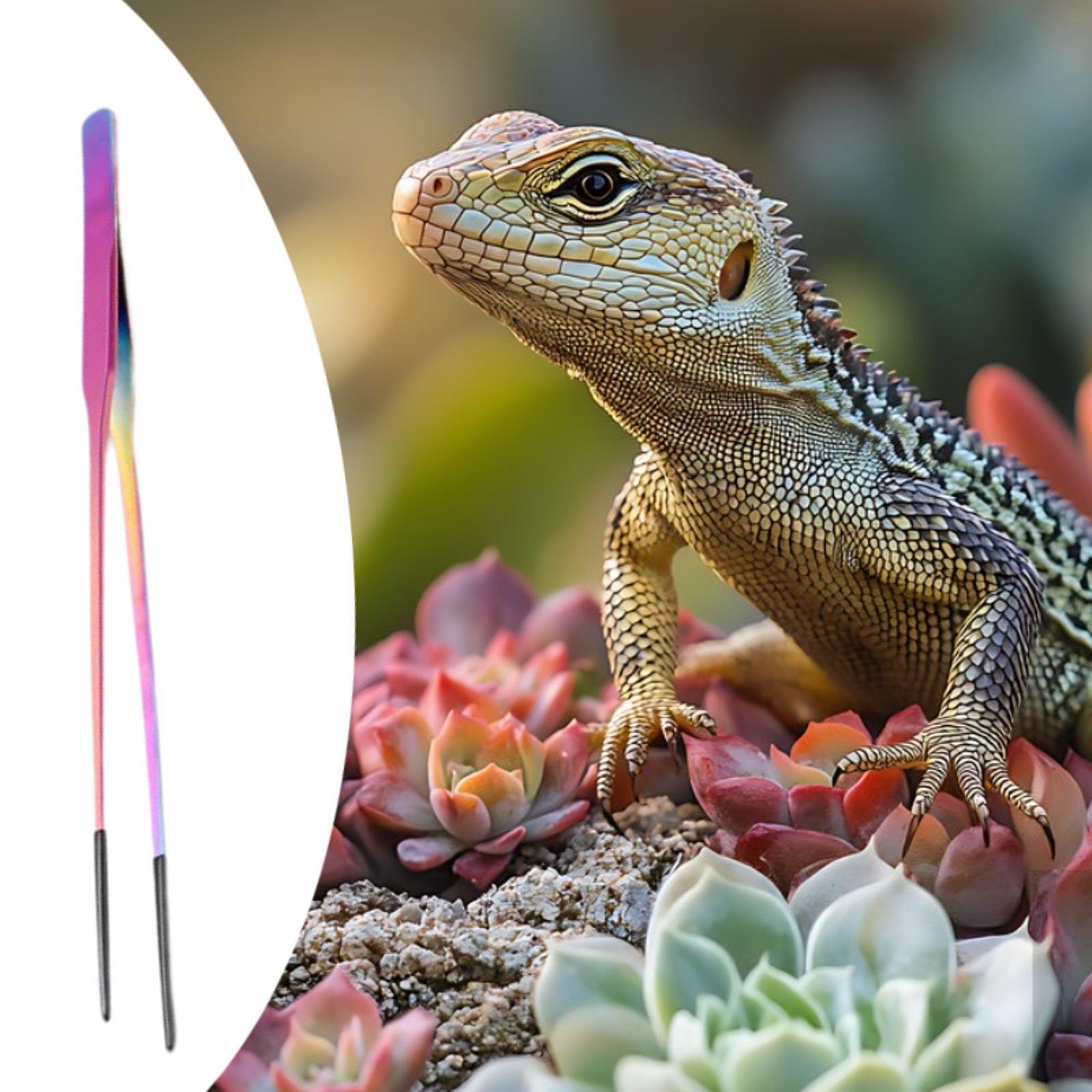 Terrarium Reptile Feeder Tongs - Feeding Tong Stainless recensione e prezzo