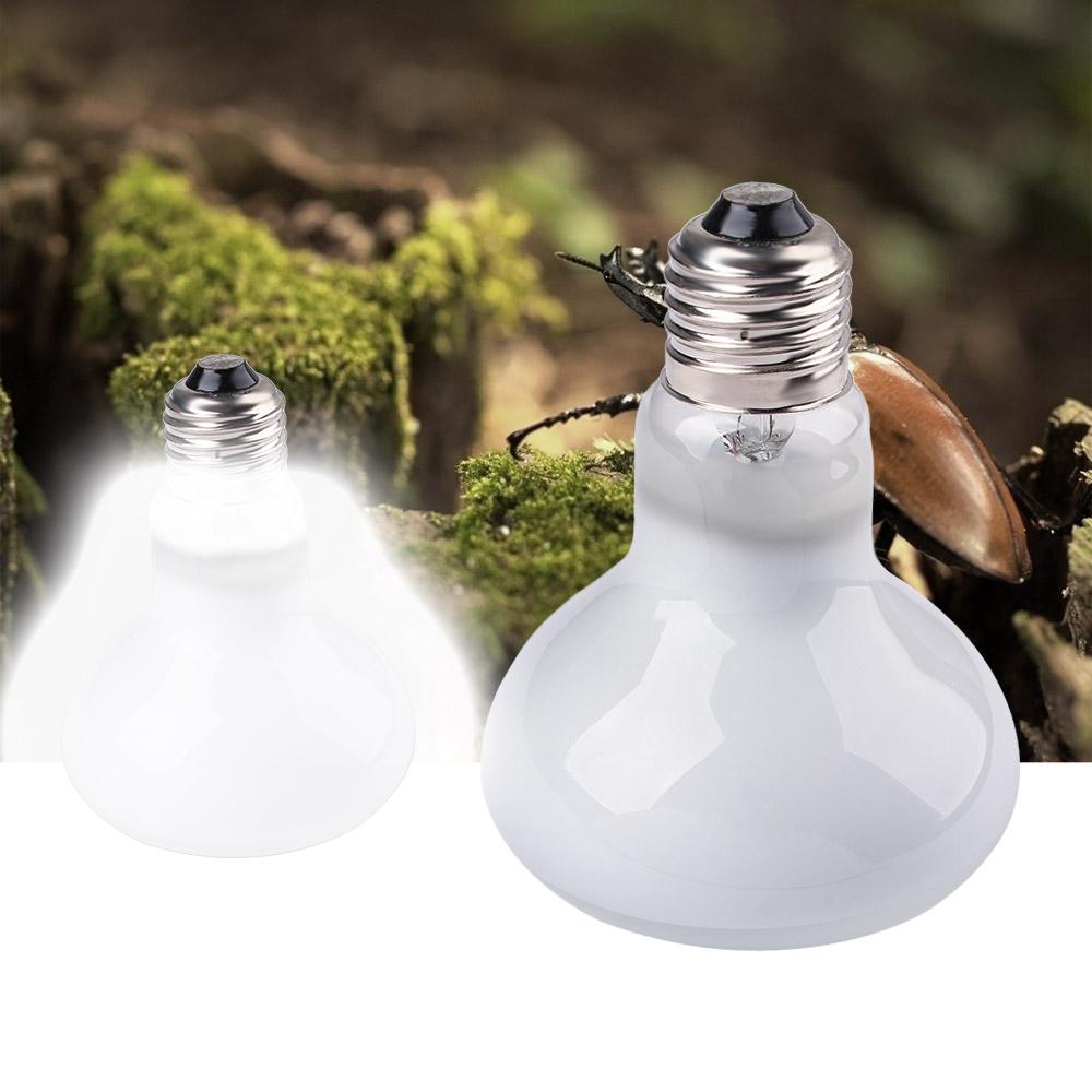 Lizard Temperature Controller  - Basking Bulb Halogen recensione e prezzo