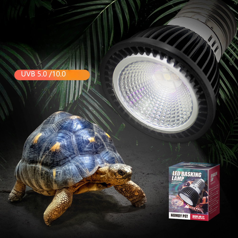 Reptile 110/220V UVB+UVA Light - Calcium Powder Reptile recensione e prezzo