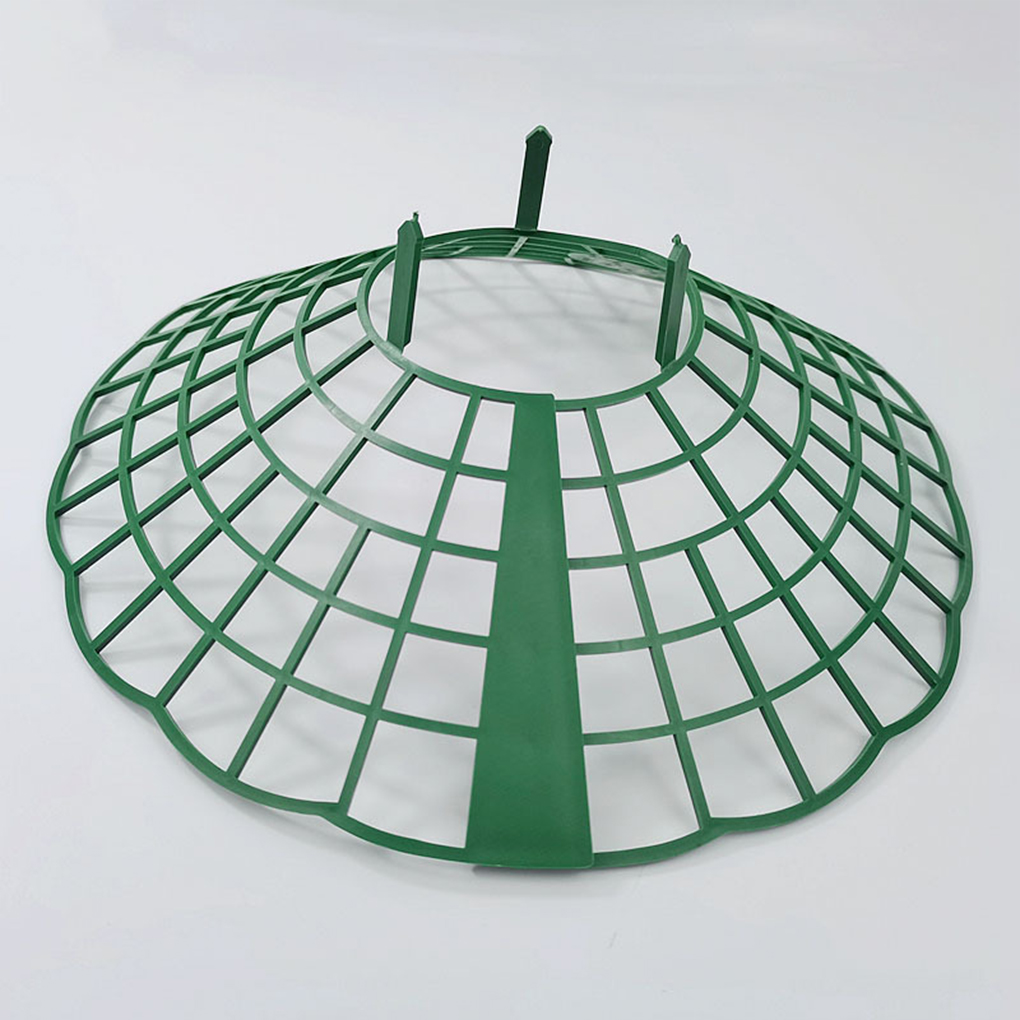 20PCS Strawberry Stand Green C - Vine Climbing Plastic recensione e prezzo