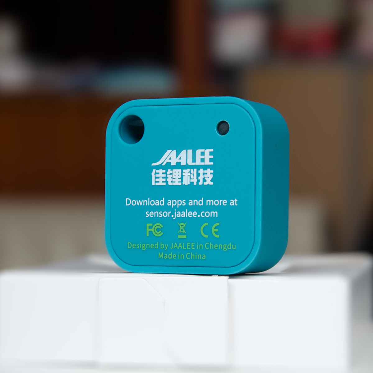 jaalee JHT Temperature/Humidit - Digital Hygrometer Probe recensione e prezzo
