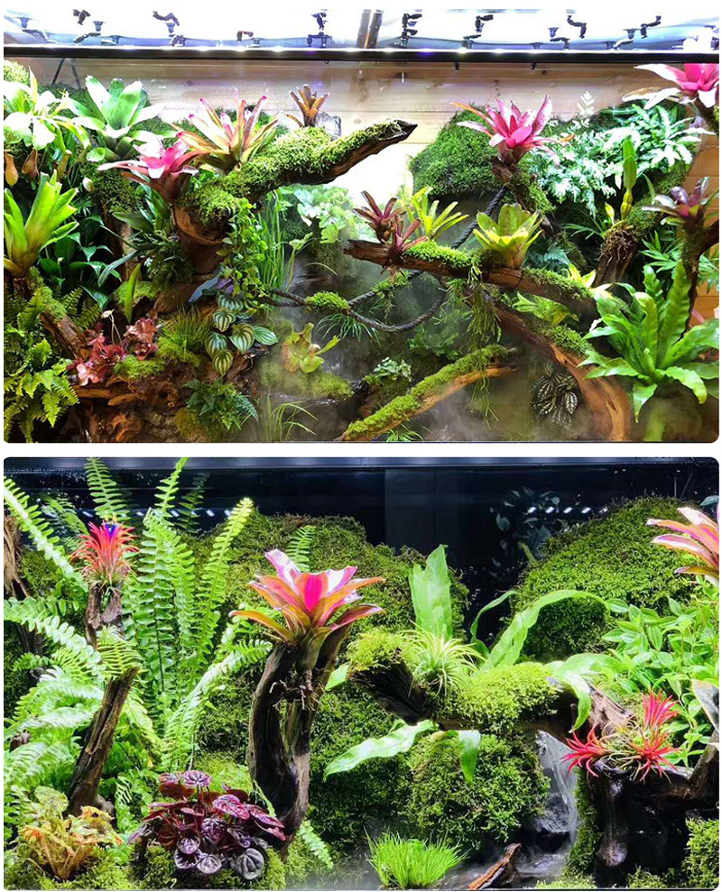 MINI Adjustable Reptile Fogger - Misting Nozzle Reptile recensione e prezzo