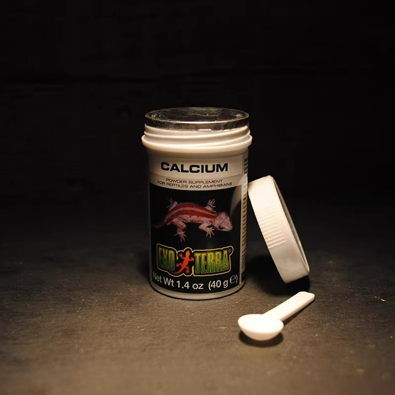 HAGEN Reptile Calcium Powder W - Vitamin D3 Reptile recensione e prezzo