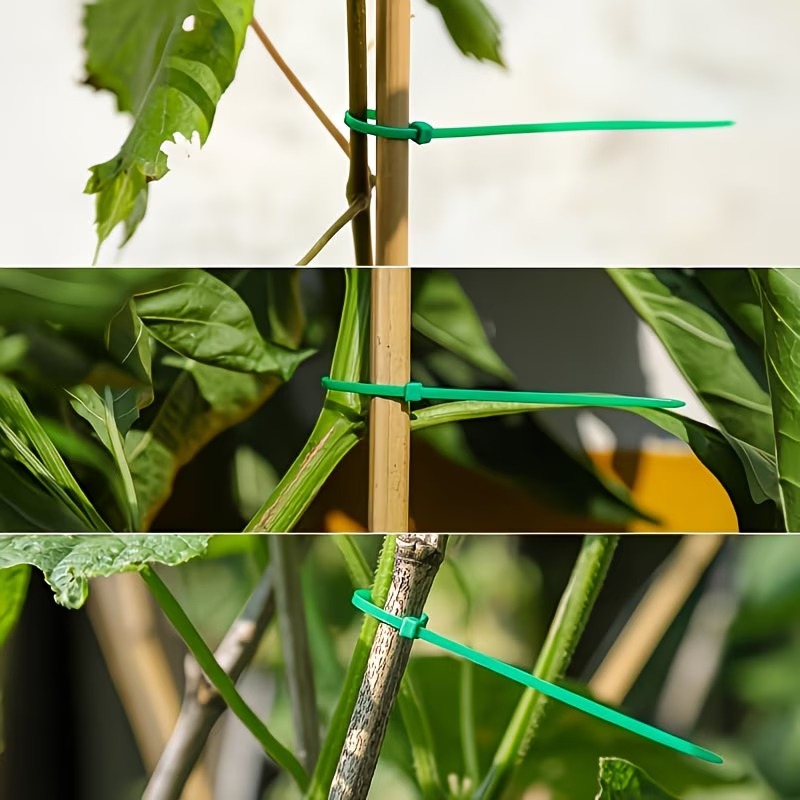 50-300pcs Adjustable Plastic P - Vine Climbing Plastic recensione e prezzo