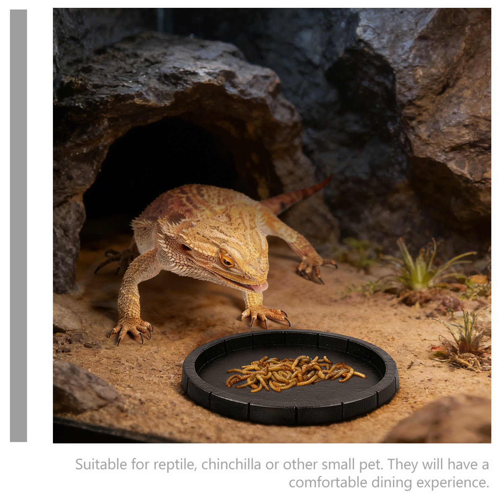 Reptile Feeding Dish Smooth Su - Water Dish Reptile recensione e prezzo
