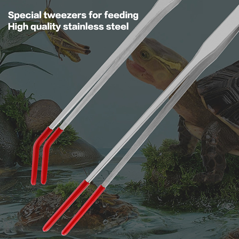 Stainless Steel Reptile Feedin - Feeding Tong Stainless recensione e prezzo