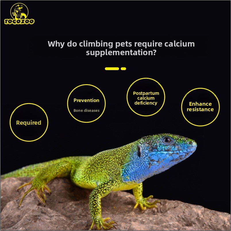 TOGOZOO WILDCAL Reptile Calciu - Calcium Powder Reptile recensione e prezzo