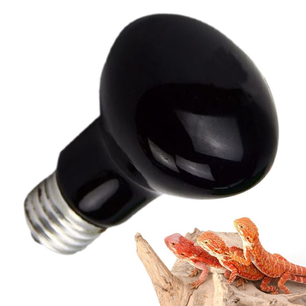 Infrared Led Pet Heating Lamp  - Ceramic Heat Emitter recensione e prezzo