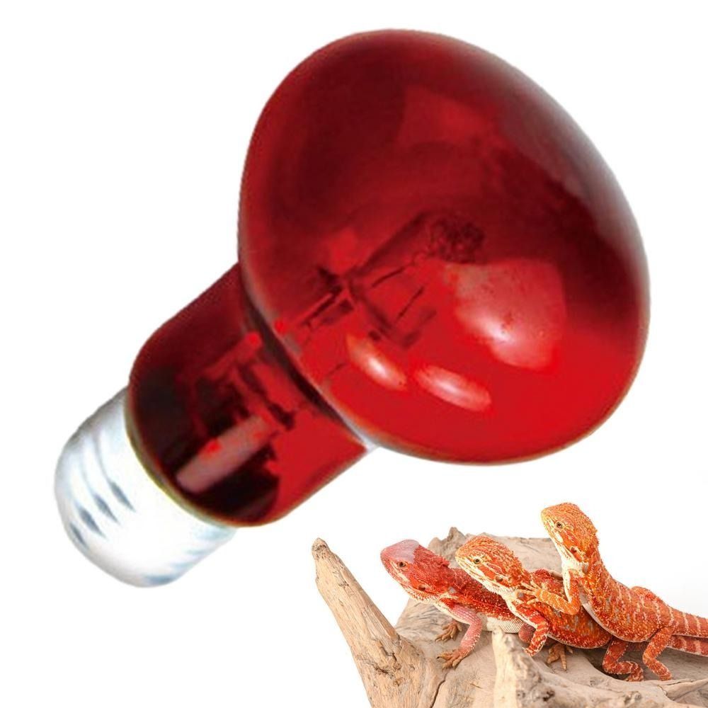 Infrared Led Pet Heating Lamp  - Ceramic Heat Emitter recensione e prezzo