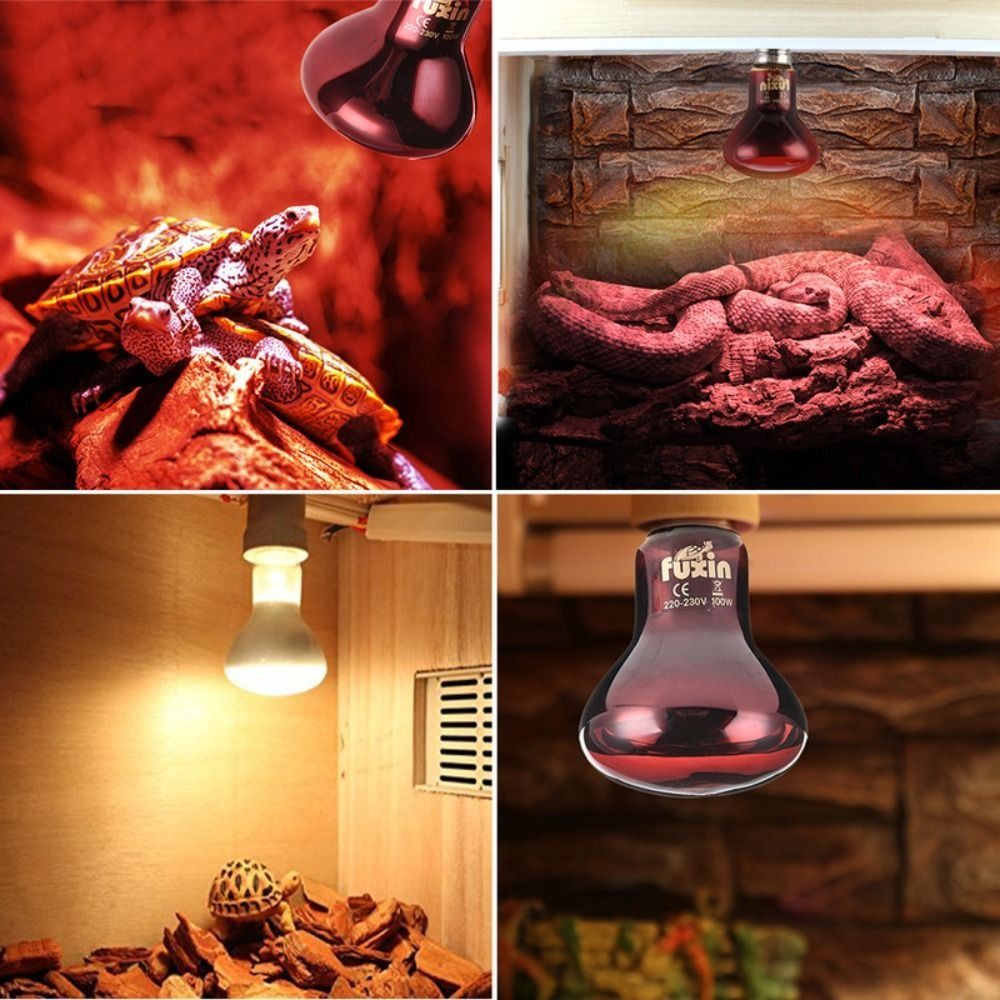 Infrared Led Pet Heating Lamp  - Ceramic Heat Emitter recensione e prezzo