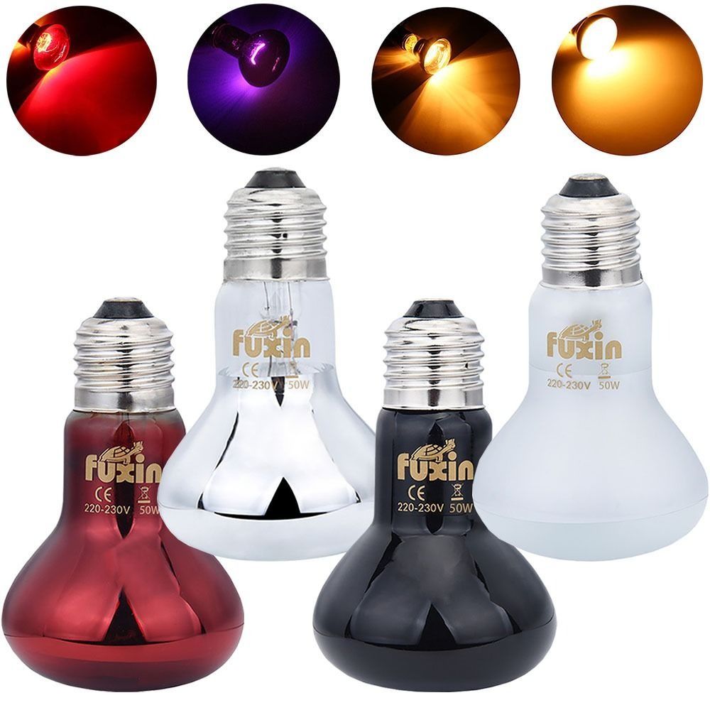 Infrared Led Pet Heating Lamp  - Ceramic Heat Emitter recensione e prezzo