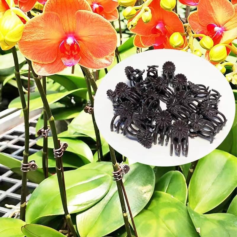 Wholesale Mini Plant Support C - Vine Climbing Plastic recensione e prezzo