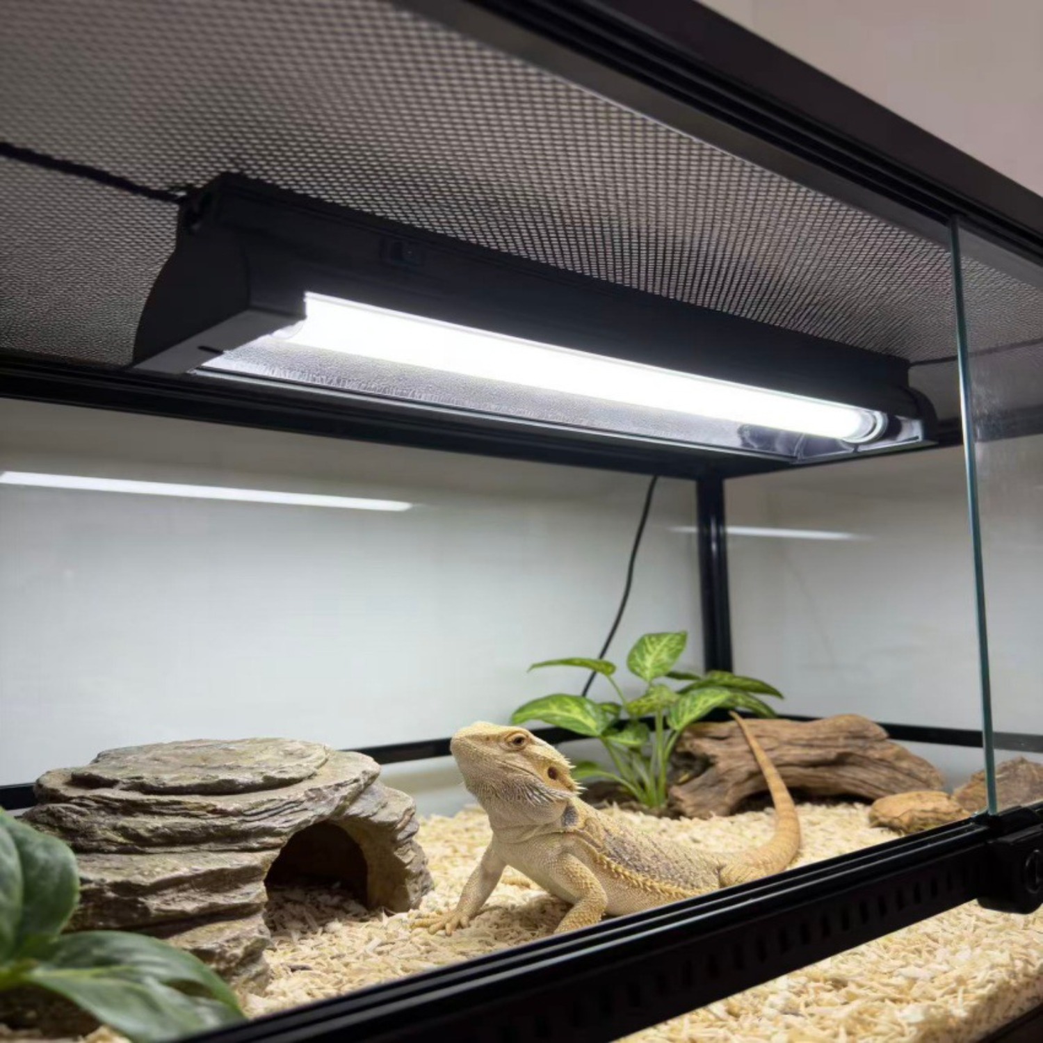 T5 UVB Reptile Light Fixture K - Calcium Powder Reptile recensione e prezzo