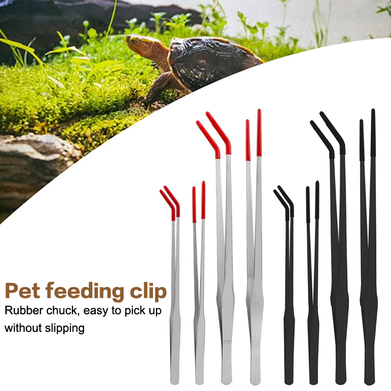 Stainless Steel Reptile With R - Feeding Tong Stainless recensione e prezzo