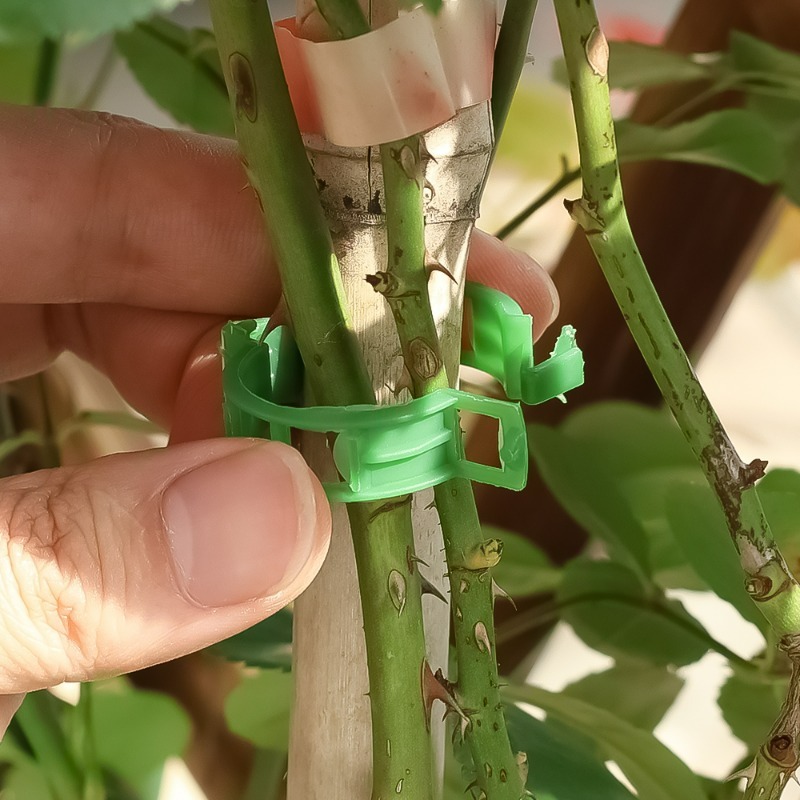 10-500Pcs Garden Plant Support - Vine Climbing Plastic recensione e prezzo