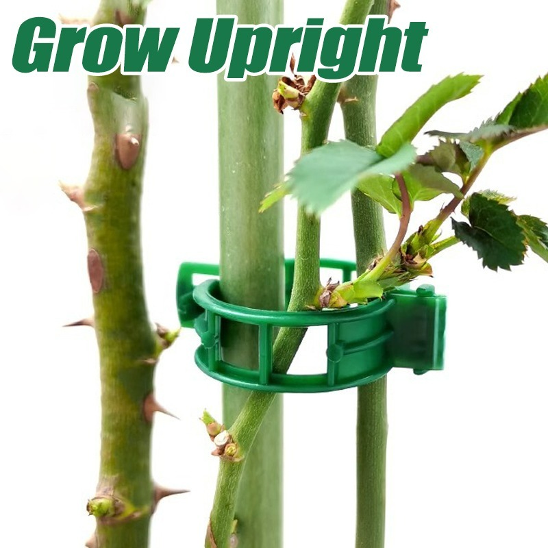 10-500Pcs Garden Plant Support - Vine Climbing Plastic recensione e prezzo
