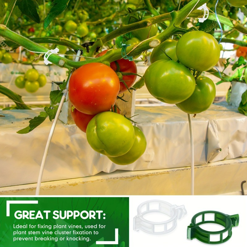 10-500Pcs Garden Plant Support - Vine Climbing Plastic recensione e prezzo