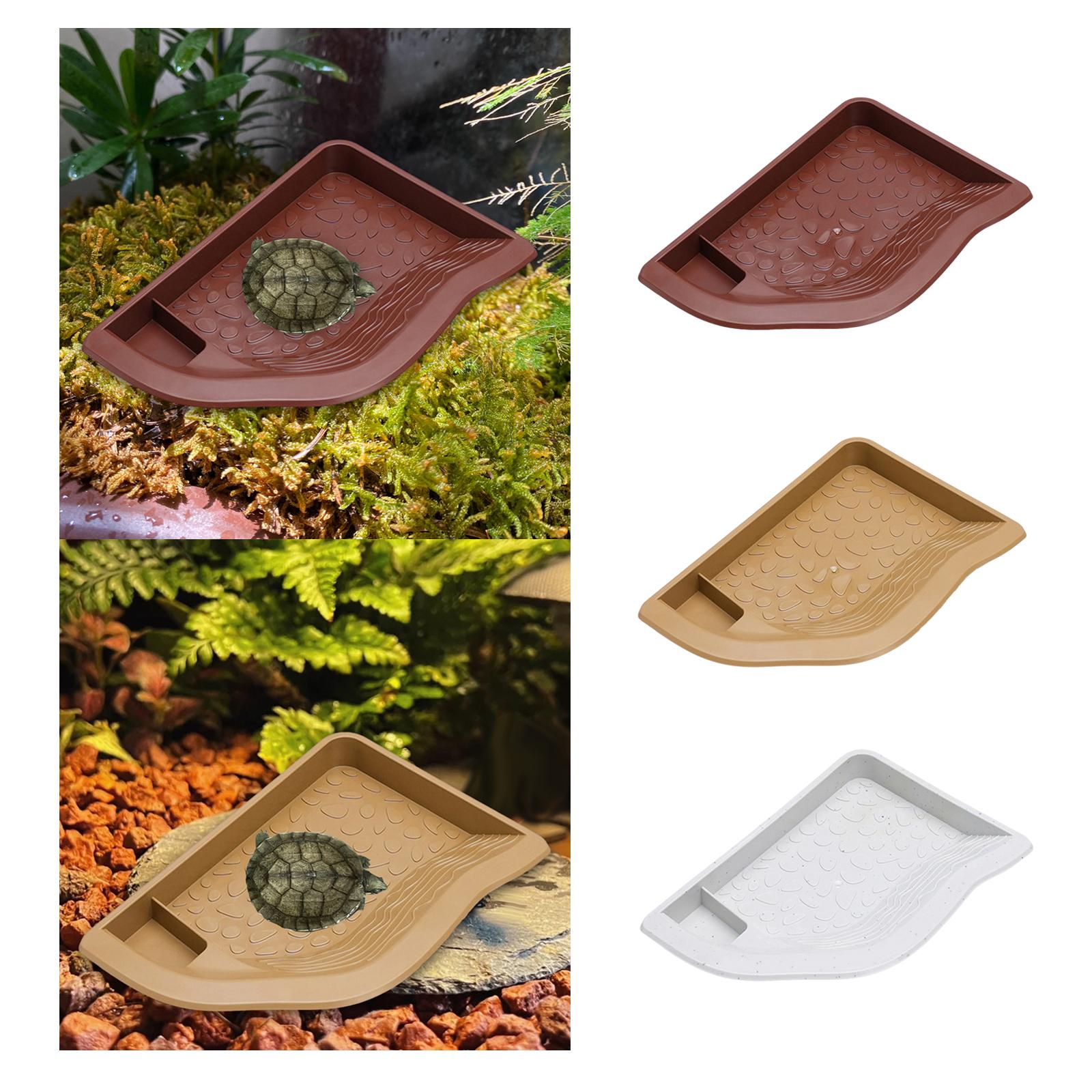 Reptile Pool Water Dish, Torto - Water Dish Reptile recensione e prezzo
