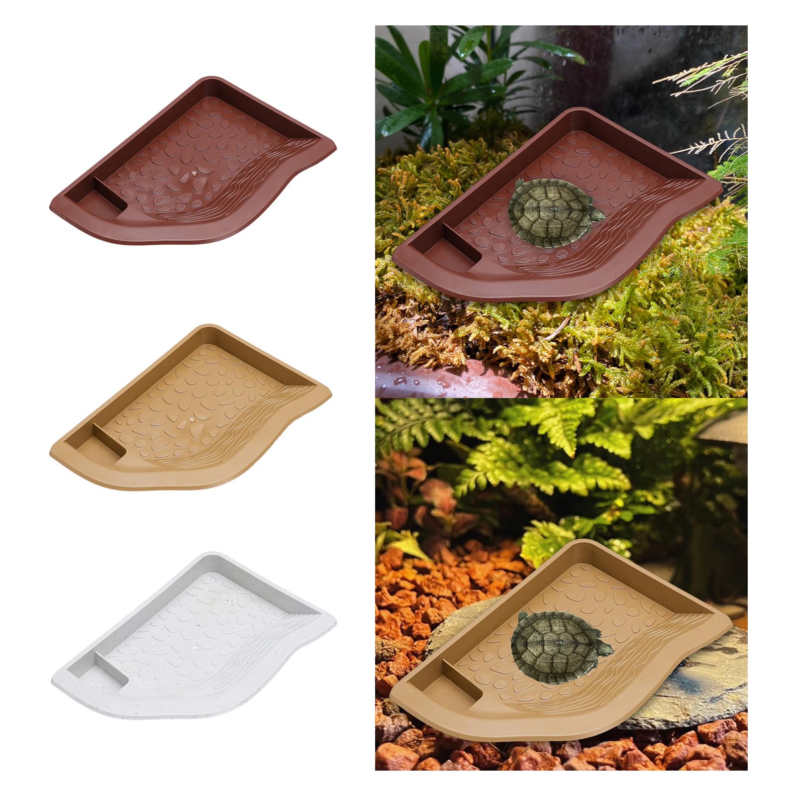 Reptile Pool Water Dish, Torto - Water Dish Reptile recensione e prezzo