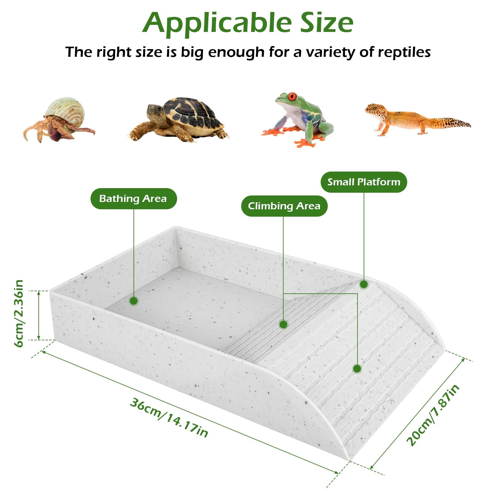 Anti Slip Tortoise Bath Dish T - Water Dish Reptile recensione e prezzo