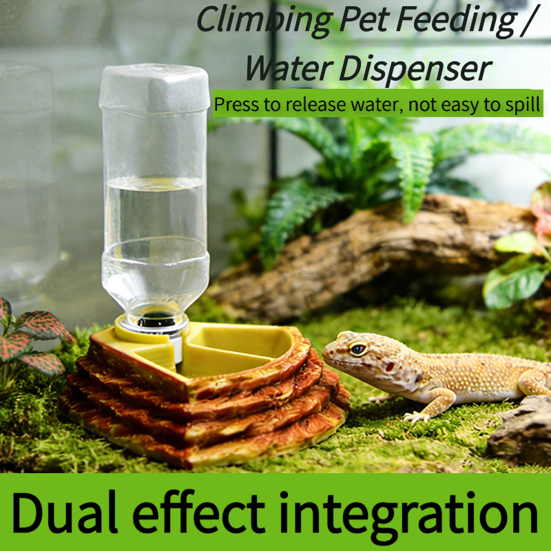 2 in 1 Reptile Water Cup Feede - Water Dish Reptile recensione e prezzo