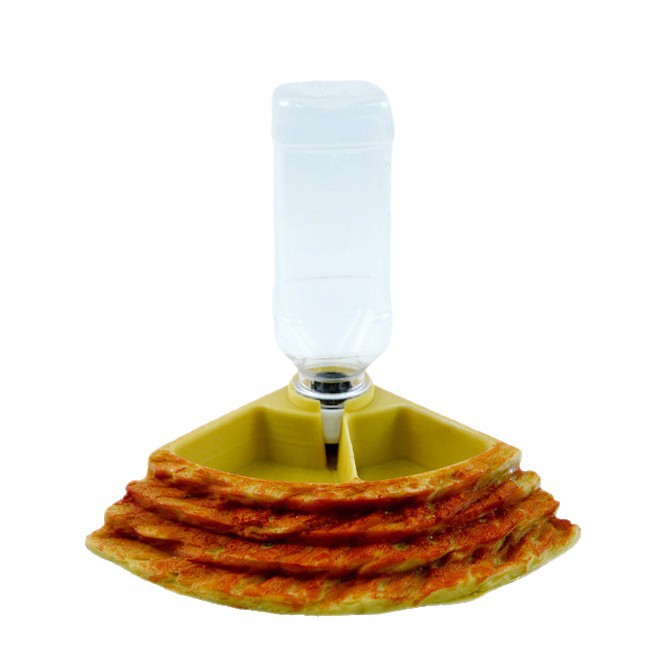 2 in 1 Reptile Water Cup Feede - Water Dish Reptile recensione e prezzo