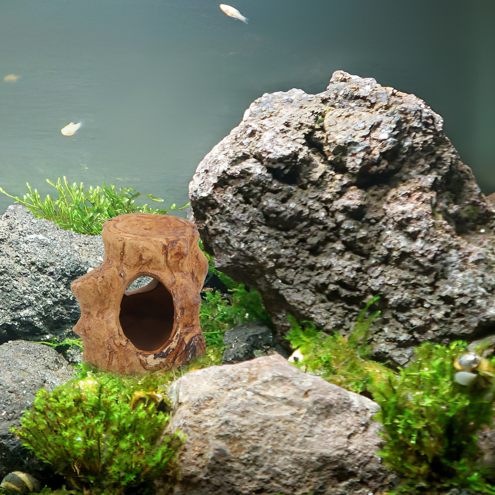 Pleco Caves for Aquarium Fish  - Hide Cave Ceramic recensione e prezzo