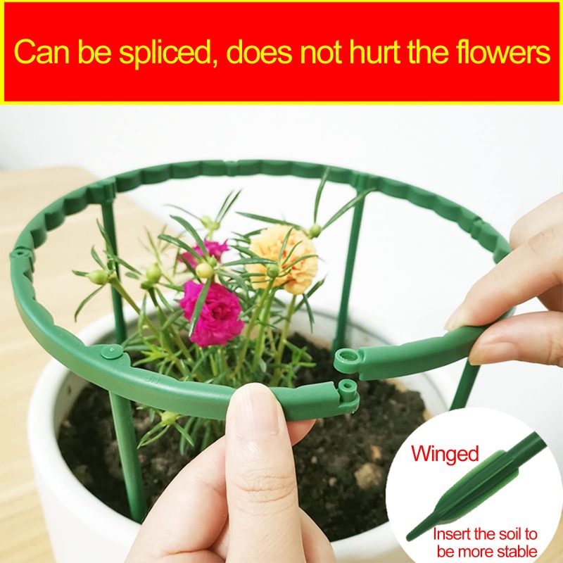 Plastic Plant Support Pile Fra - Vine Climbing Plastic recensione e prezzo