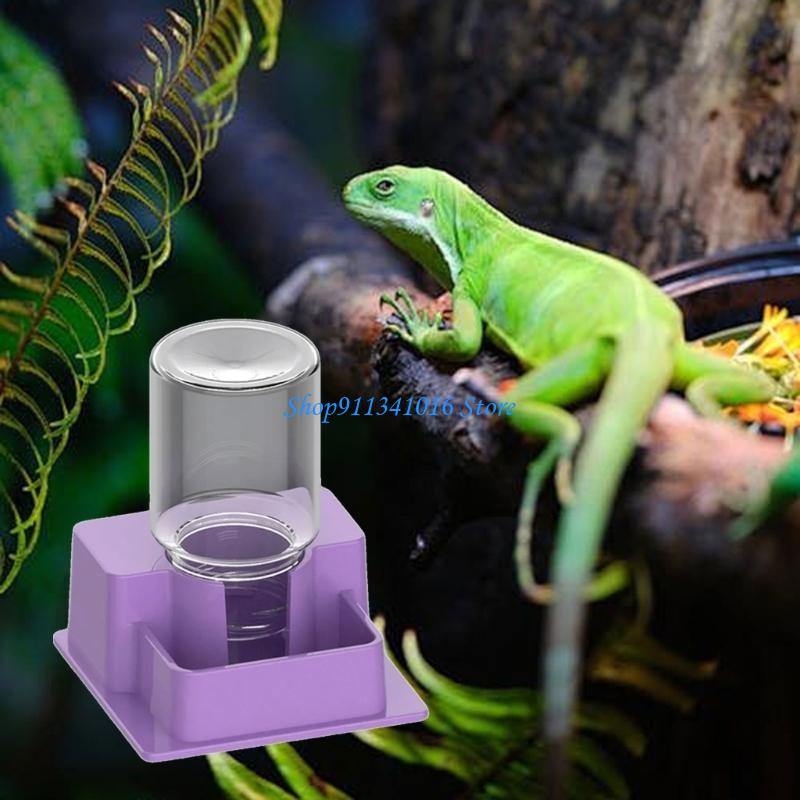  Multifunctional Reptiles Drin - Water Dish Reptile recensione e prezzo