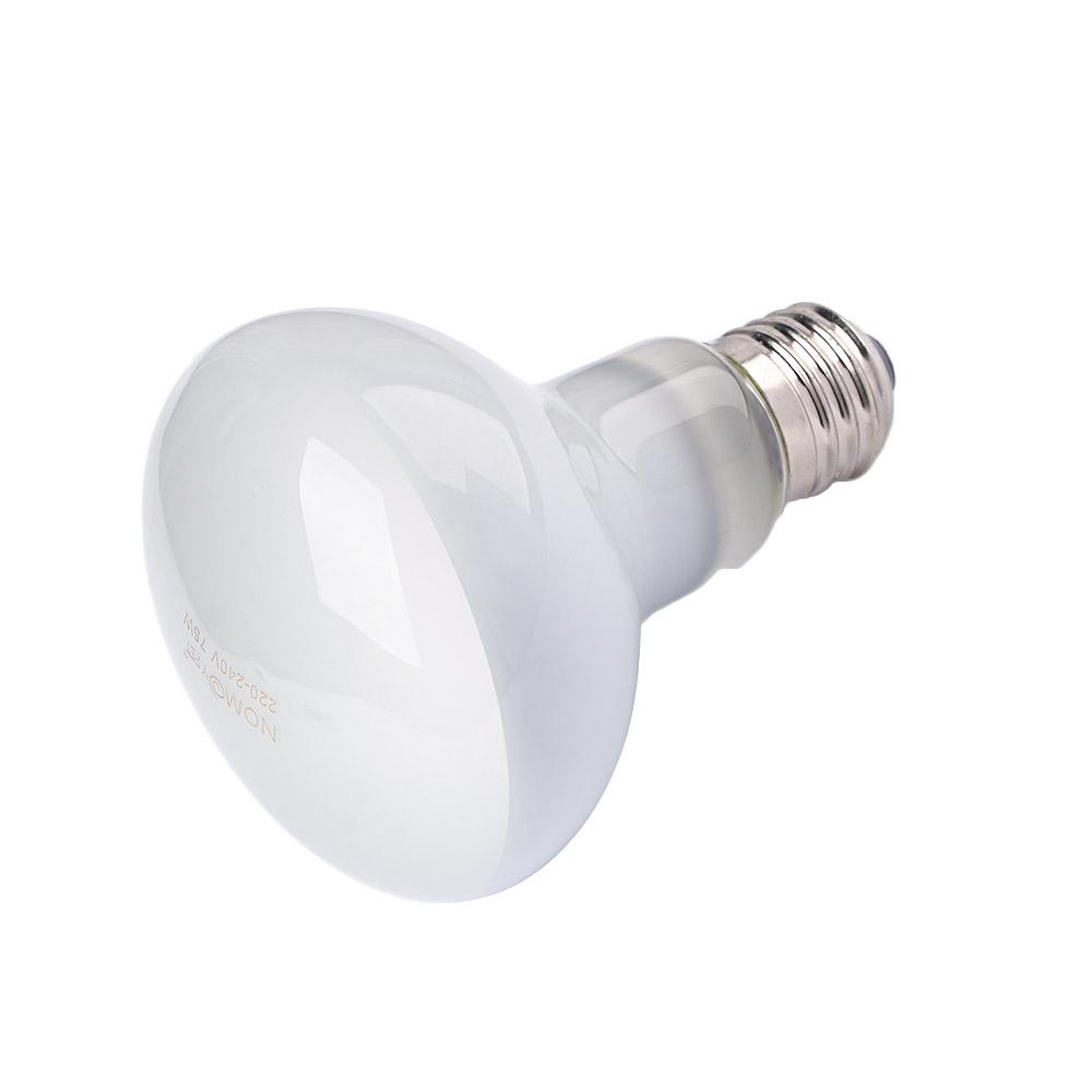 Amphibians Heater Heat Lamp UV - Basking Bulb Halogen recensione e prezzo