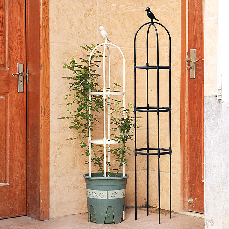C 1Set Climbing Plant Trellis  - Vine Climbing Plastic recensione e prezzo