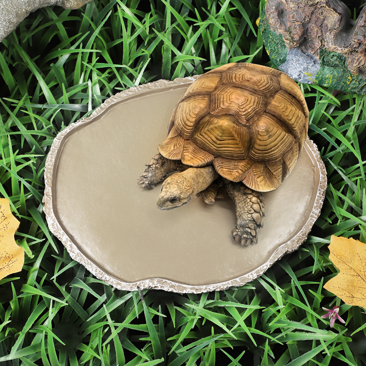 Pets Feeding Plate Reptile Fee - Water Dish Reptile recensione e prezzo