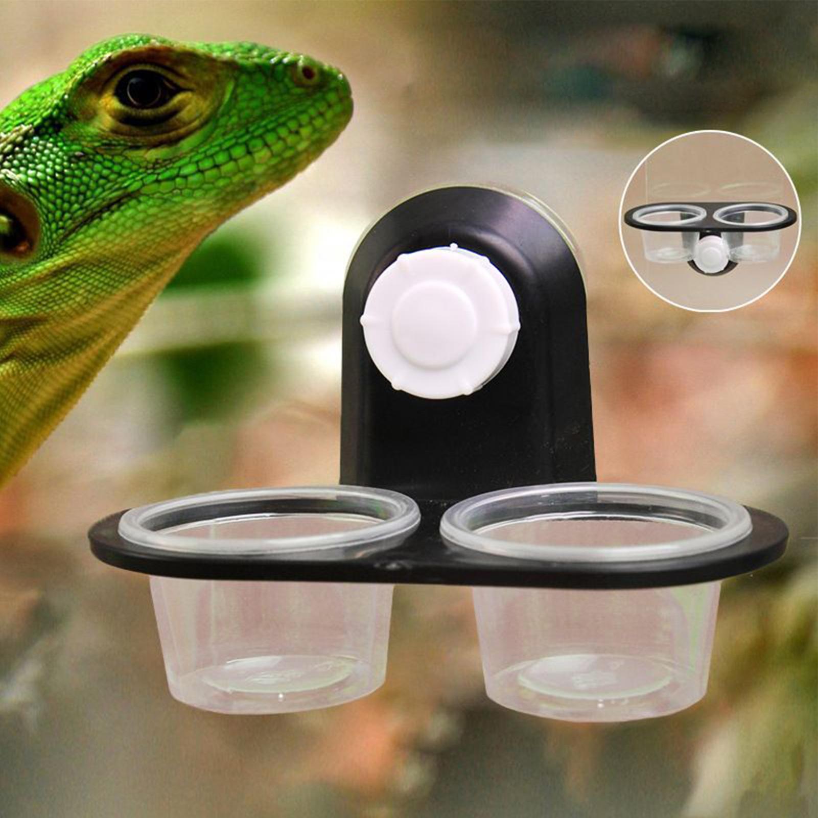 Gecko Food Dish Gecko Feeding  - Water Dish Reptile recensione e prezzo