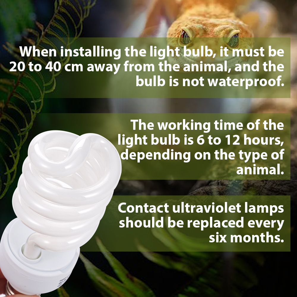 26W Pet Box Lamp Calcium Suppl - Calcium Powder Reptile recensione e prezzo
