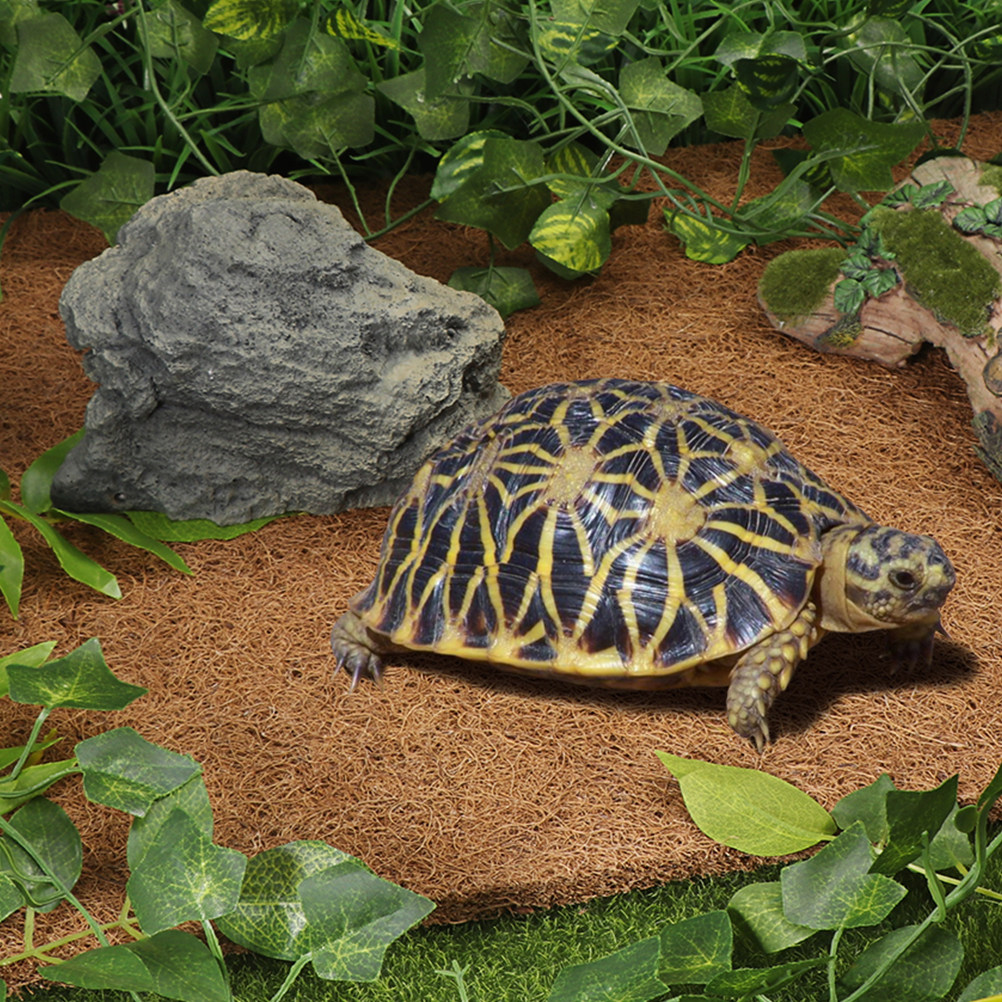 Reptile Terrarium Bedding Subs - Substrate Coconut Fiber recensione e prezzo
