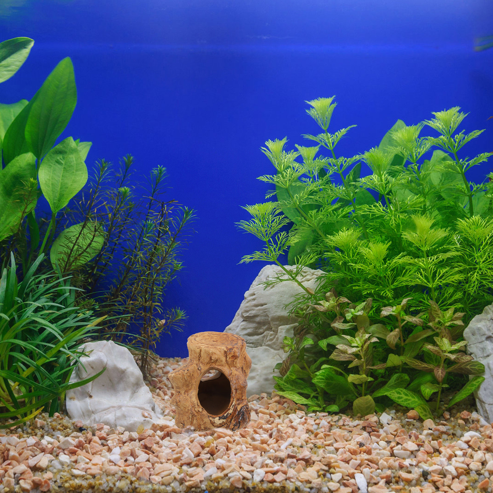Pleco Caves Fish Tank Decorati - Hide Cave Ceramic recensione e prezzo