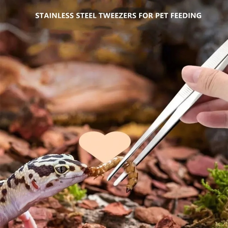Stainless Multifuctional Steel - Feeding Tong Stainless recensione e prezzo