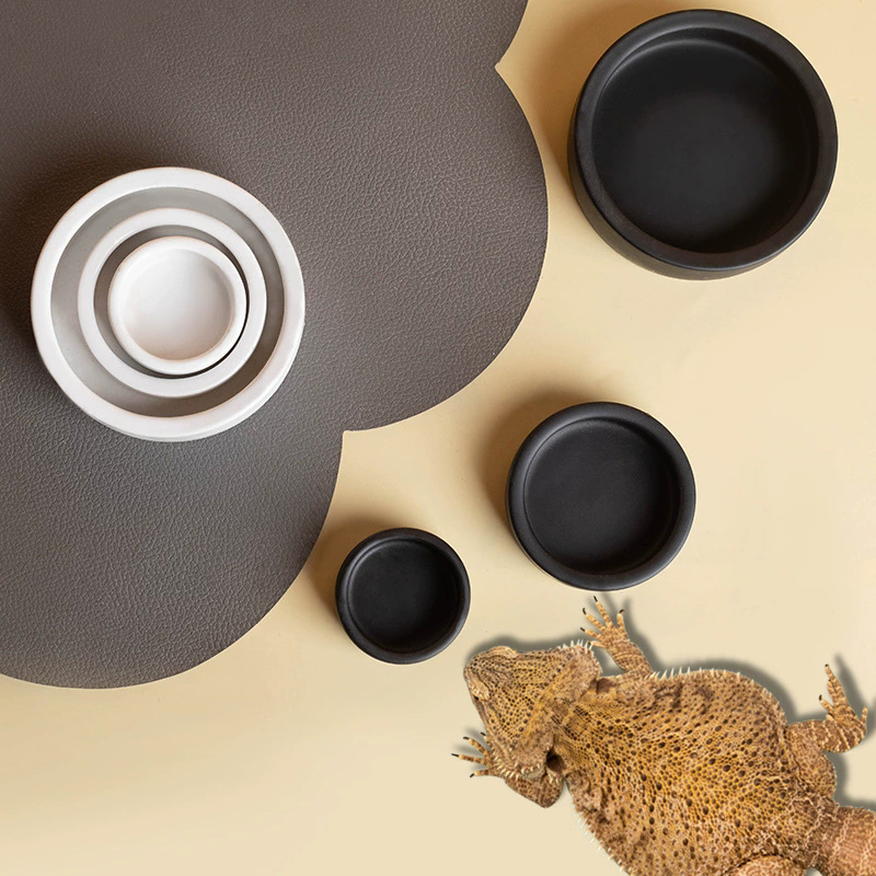 HOT! Reptile Food Bowl Anti-Es - Water Dish Reptile recensione e prezzo