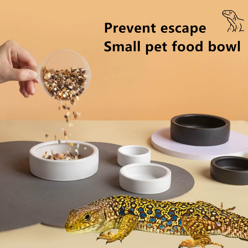 HOT! Reptile Food Bowl Anti-Es - Water Dish Reptile recensione e prezzo